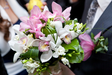 Similar image 981372