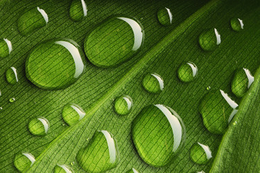 Similar image 981373