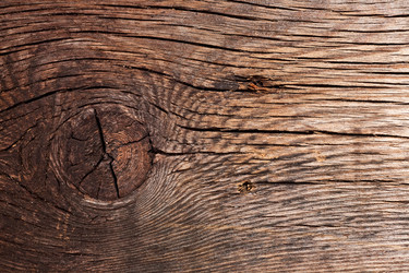 Similar image 981375