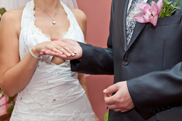 Similar image 981386