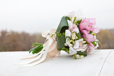 Similar image 981397