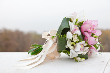 Similar image 981398