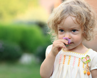 Similar image 981409