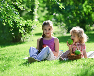 Similar image 981415