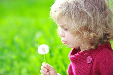 Similar image 981440