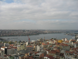 Similar image 981460