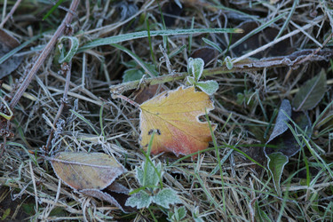 Similar image 981465