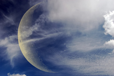 Similar image 981471