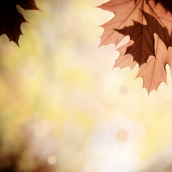 Similar image 981473