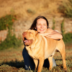 Similar image 981487