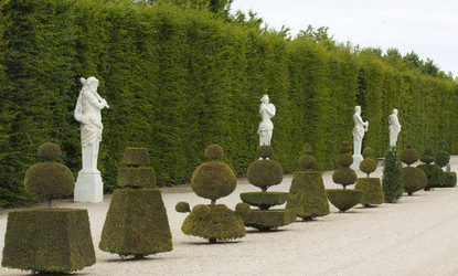 Similar image 981491