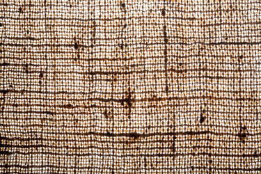 Similar image 981504