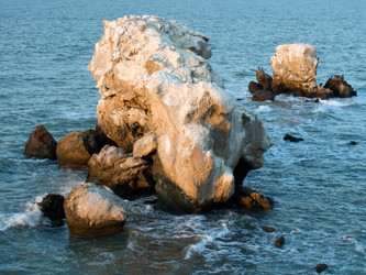 Similar image 981620