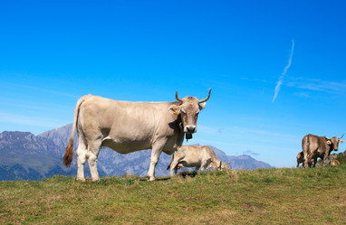 Similar image 981623