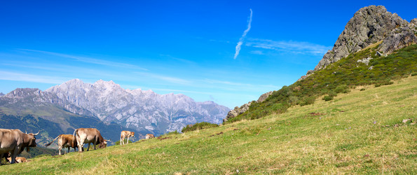 Similar image 981625