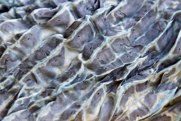 Similar image 981634