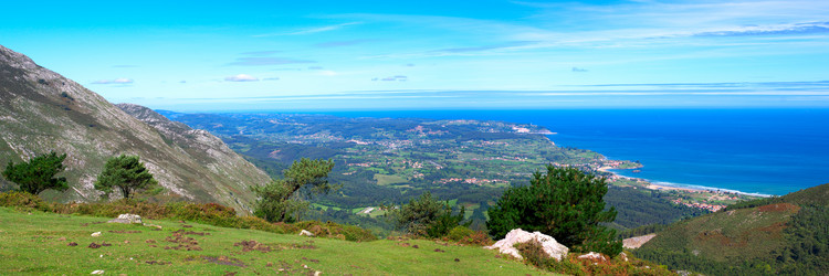 Similar image 981635