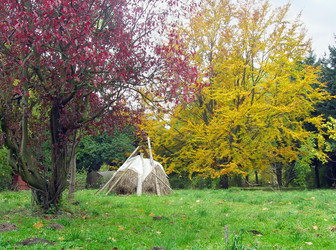 Similar image 981636