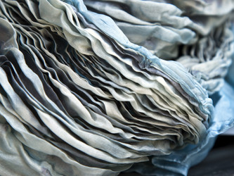 Similar image 981642