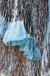 Similar image 981645