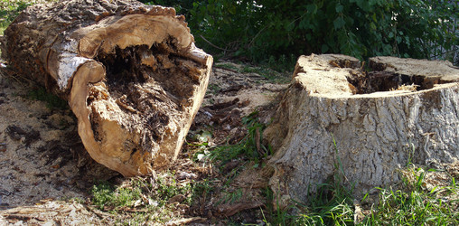 Similar image 981647