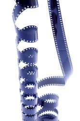 Similar image 981694