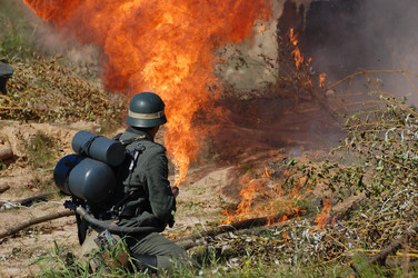 Similar image 981719