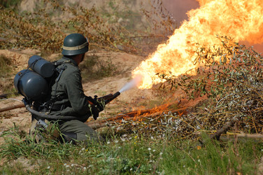 Similar image 981720