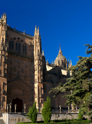 Similar image 981754