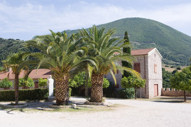 Similar image 981765