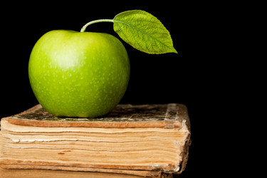 Similar image 981774