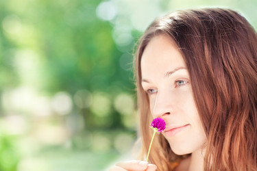 Similar image 981787