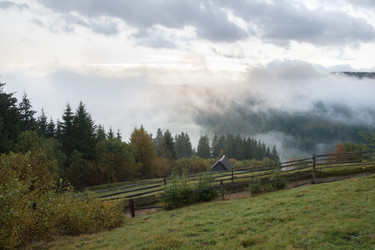 Similar image 981793