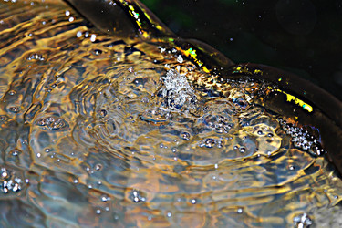 Similar image 981803