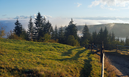 Similar image 981818