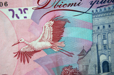 Similar image 981837