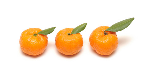 Similar image 981862