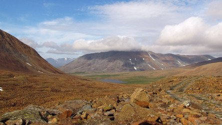 Similar image 981970