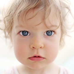 Similar image 982080