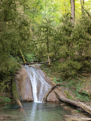 Similar image 982088