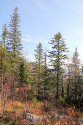 Similar image 982105