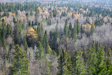 Similar image 982119