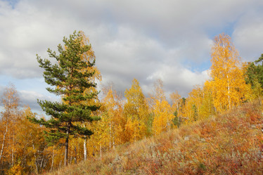 Similar image 982120