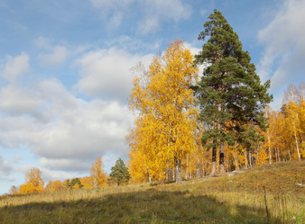 Similar image 982126