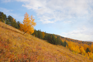 Similar image 982128