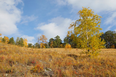 Similar image 982137