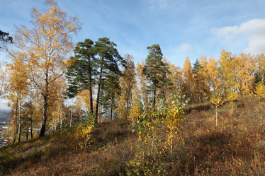 Similar image 982144