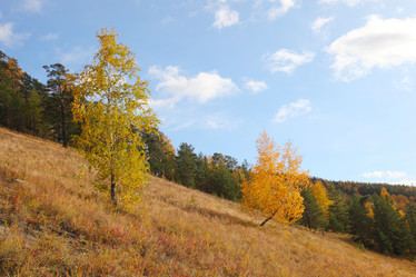 Similar image 982150