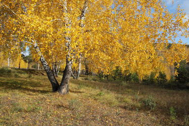 Similar image 982153