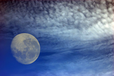 Similar image 982179